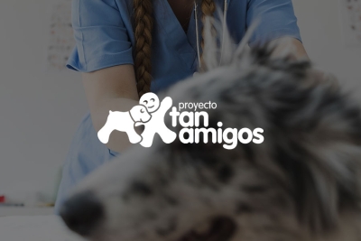Diseño de página web de Terapias asistidas con perros