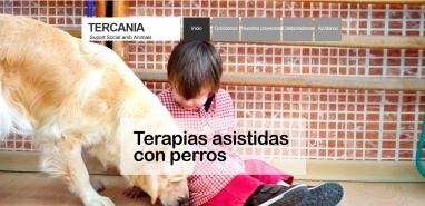 Diseño web para empresa de tratamientos con perros