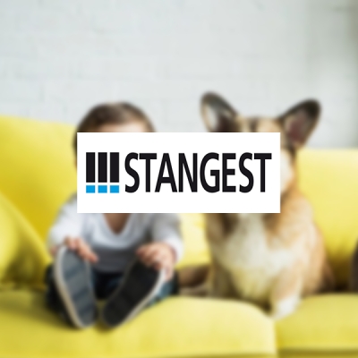 Diseño web corporativa Laboratorios Stangest productos para mascotas