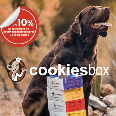 Tienda virtual para tienda de galletas artesanas para perros