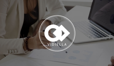 Diseño web Kit Digital Vidiella consultores