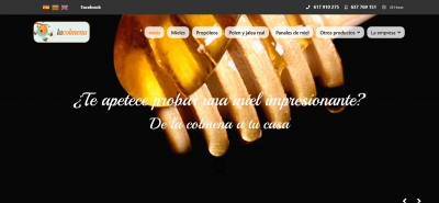 Diseño web para empresa de venta de miel y derivados